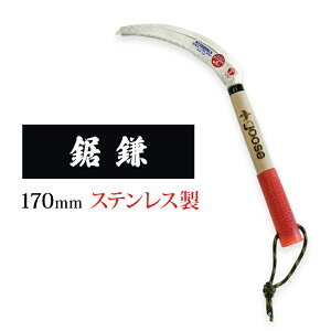 yӂ邳Ɣ[Łz 170mmXeX goose K[fjO _  