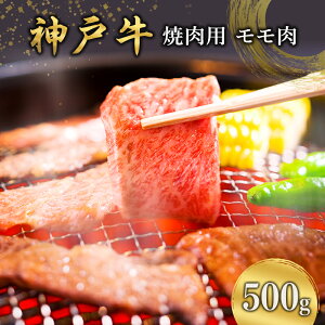 yӂ邳Ɣ[Łz_ˋ ēp  500g [   ē BBQ   Ă ₫ɂ o[xL[ _˃r[t uh ① Ɍ s ]