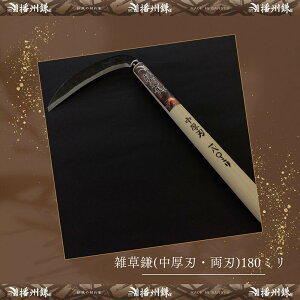 yӂ邳Ɣ[ŁzdB G(nEn)180~u180022v@  | K[fjO