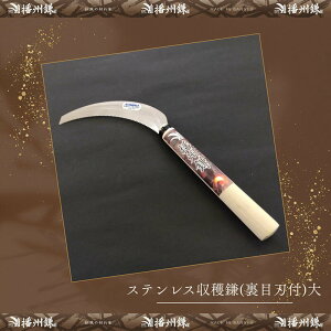 yӂ邳Ɣ[ŁzdB XeXn(ڐnt)u180044v ؎n@|