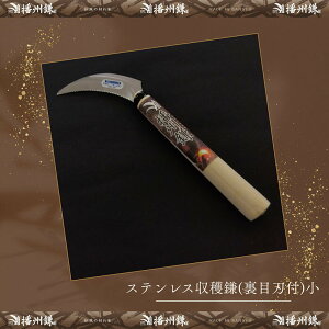 yӂ邳Ɣ[ŁzdB XeXn(ڐnt)u180045v ؎n@|