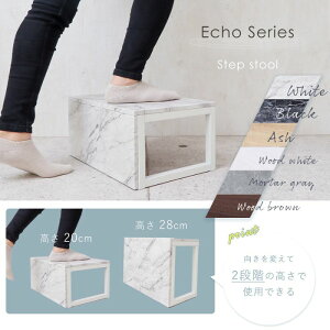 yӂ邳Ɣ[Łzݑ Echo(GR[)