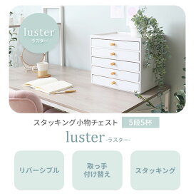 【ふるさと納税】スタッキング小物チェスト luster(ラスター) 5段5杯 インテリア 家具 収納