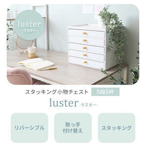 yӂ邳Ɣ[ŁzX^bLO`FXg luster(X^[) 5i5t CeA Ƌ [