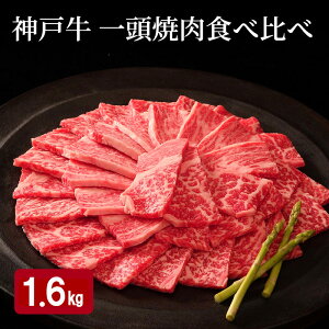 yӂ邳Ɣ[Łz_ˋ ꓪ ē Hה Ai4jv 1.6kg i [X E  E  E ΂ e400gj