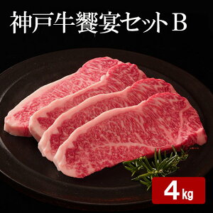 yӂ邳Ɣ[Łz_ˋ Zbg B v 4kg i XCX 1.5kgE [XXCX 1.5kgE [XXe[L 1kg j