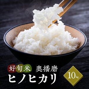 yӂ邳Ɣ[Łzߘa7NY D{ĉd qmqJ 10kgiāj@/   ͂ Vā@͂FȂ莟I