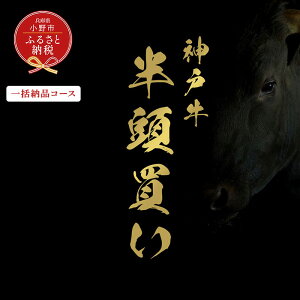 yӂ邳Ɣ[ŁzyaZuz_ˋ̃Zǔiꊇ[iR[Xj/ _˃r[t BBQ  Ⓚ uh Ɍ s