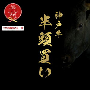 yӂ邳Ɣ[ŁzyaZuz_ˋ̃Zǔi12[iR[Xj/ _˃r[t BBQ  Ⓚ uh Ɍ s