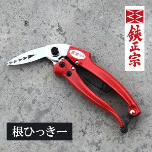 yӂ邳Ɣ[ŁzЂ[ |pi K[fjO GNXeA