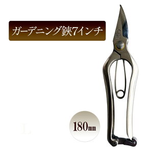 yӂ邳Ɣ[ŁzK[fjO7C`^180mm@| K[fjO nT~ ͂ A  E ؉ 