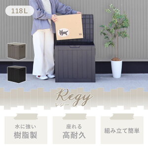 yӂ邳Ɣ[ŁzXg[W{bNX Regy(W[) 118L