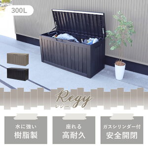 yӂ邳Ɣ[ŁzXg[W{bNX Regy(W[) 300L