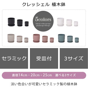 �y�ӂ邳�Ɣ[�Łz�A�ؔ�3��Z�b�g crescere �N���b�V�F��