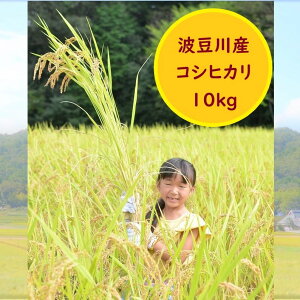 ふるさと納税 三田市の人気商品 通販 価格比較 価格 Com