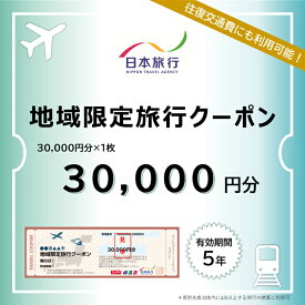【ふるさと納税】 兵庫県三田市　日本旅行 地域限定旅行クーポン 30,000円分 旅行 宿泊 旅行券 旅行クーポン クーポン券 宿泊費 交通費 観光 体験 精算 お出かけ 冬休み 夏休み 人気 ふるさと納税 ふるさと 人気 おすすめ 送料無料 兵庫県 三田市[ 3d28bae370001 ]