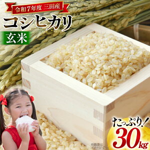 yӂ邳Ɣ[Łz  ߘa7NxY RVqJ  30kg ɌOcsY [pXJ Ɍ Ocs 3d28bae660041]  R  V ͂ ɂ