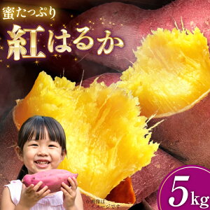 yӂ邳Ɣ[Łz ܂ g͂邩 5kg y2025N11O`2026N3㔼zz [SSSt@[ Ɍ Ocs 3d28bed520000]  ܈ ׂɂ͂邩  5L