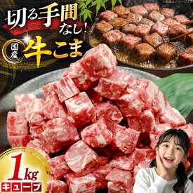 【ふるさと納税】 牛こま キューブ 1kg 牛こま切れ 牛肉 こま切れ 細切れ [司フーズ・システム 兵庫県 三田市 3d28bdy500002] ぎゅうこま キューブ 精肉 普段使い 使い勝手 冷凍 お弁当 おかず おすすめ バラエティ