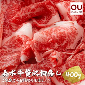 【ふるさと納税】美水牛贅沢切落し400g（200g×2）　（冷凍品）　【お肉・牛肉】