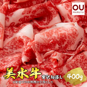 yӂ邳Ɣ[Łz  ґ ؗ ( 400g ( 200g×2 ) )  Ⓚi Mtg  j An _ˋ Oc ʌ 󂠂 ӂ邳Ɣ[ ӂ邳 lC   Ɍ Ocs[ 3d2
