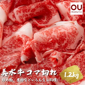【ふるさと納税】美水牛コマ切れ1200g（400g×3）　（冷凍品）　【お肉・牛肉】