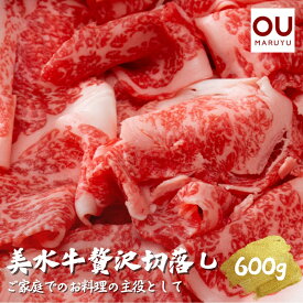 【ふるさと納税】美水牛贅沢切落し600g（200g×3）　（冷凍品）　【お肉・牛肉】