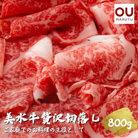 【ふるさと納税】美水牛贅沢切落し800g（200g×4）　（冷凍品）　【お肉・牛肉】