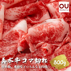 【ふるさと納税】美水牛コマ切れ800g（400g×2）（冷凍品）　【お肉・牛肉】