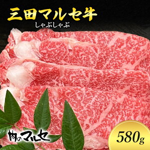 yӂ邳Ɣ[Łz Oc }Z Ԃ 580g VuVu }Z ˋ Mtg  j An _ˋ Oc ʌ 󂠂 ӂ邳Ɣ[ ӂ邳 lC   