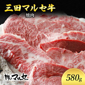 yӂ邳Ɣ[Łz Oc }Z ē 580g Ă ₫ɂ ē ēp[eB   Mtg  j An _ˋ Oc ʌ 󂠂 ӂ邳Ɣ[ ӂ邳 lC  