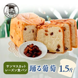 yӂ邳Ɣ[Łz x镒 T}XJbg [Y 1.5 p ς Hp ubh  H ͂  ʌ 󂠂 ӂ邳Ɣ[ ӂ邳 lC   Ɍ O