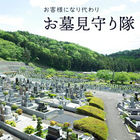 【ふるさと納税】 お客様になり代わりお墓見守り隊 ( お墓参り代行チケット 1枚 ) 送料無料 兵庫県 三田市[ 3d28bae500000 ]
