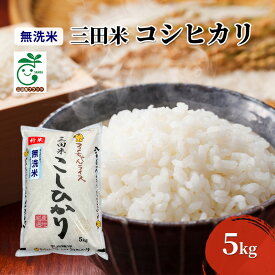 【ふるさと納税】【令和5年度産】無洗米 三田市産コシヒカリ 5kg　【 お米 精米 白米 ご飯 ブランド米 銘柄米 ご飯 おにぎり お弁当 粘り つや 香り 】