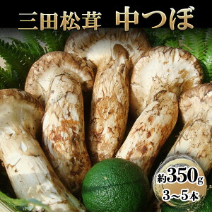yӂ邳Ɣ[Łz Oc   350g (3`5{) ܂ H̖o ̂ LmR {̖ i Ε Ε VN N 蕨 Mtg Hi Mtg ӂ邳Ɣ[ ӂ邳 lC 