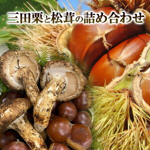 yӂ邳Ɣ[Łz OcI 2L (1kg) Oc  (200g) ̋lߍ킹 I ܂ H̖o ̂ LmR {̖ i 蕨 Mtg Hi Mtg ӂ邳Ɣ[ ӂ邳 lC 