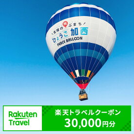 【ふるさと納税】ふるさと納税　兵庫県加西市の対象施設で使える 楽天トラベルクーポン 寄附額100，000円（30，000円クーポン）　【高級宿・宿泊券・旅行】