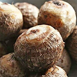 yӂ邳Ɣ[Łz  2025NY  ł ϕ  _ ؗ Ƃ ₳ TgC @͂F2025N11{`2025N12{