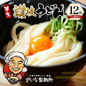 【ふるさと納税】がいな製麺所のうどんセット　【麺類・うどん】