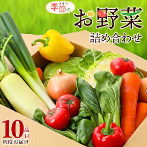 yӂ邳Ɣ[ŁzG߂̖ Zbg lߍ킹 10ix  ؃Zbg {̖ ؋lߍ킹 ؋lߍ킹Zbg VN VN؋lߍ킹 VN {