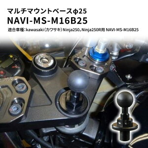 yӂ邳Ɣ[Łz}`}Egx[X25@}`}Egx[X25@kawasakiiJTLjNinja250CNinja250Rp NAVI-MS-M16B25 G pi
