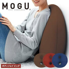 【ふるさと納税】【MOGU-モグ‐】ボディジョイ　ビッグ　全3色〔 クッション ビーズクッション リビングクッション〕　【インテリア・クッション・ビーズクッション】