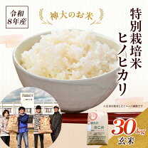 楽天市場】ヒノヒカリ 玄米 30kg（食品）の通販