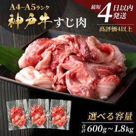 【ふるさと納税】神戸牛 すじ肉600g（200g×3） 煮込み 牛すじ 牛スジ 神戸ビーフ 国産 肉 牛肉 セット 冷凍 帝神志方 すぐ届く 小分け　【お肉・牛肉】