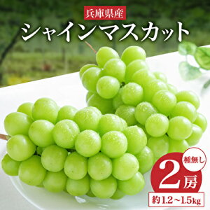 yӂ邳Ɣ[Łzyߘa7NYzVC}XJbg 2[ Zbg 1.2`1.5kg Ԃǂ  uhE }XJbg Ȃ Ԃǂ t[c ʕ  G߂̃t[c {̃t[c@͂