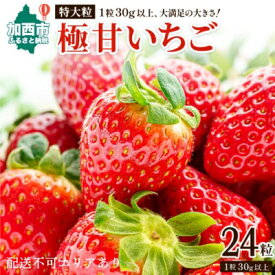 【ふるさと納税】かぐや農園の極甘 いちご 特大粒 24粒　【 果物 フルーツ 果実 高設栽培方式 紅ほっぺ かおり野 ロマンベリー お楽しみ 】　お届け：2024年1月上旬～2024年5月末