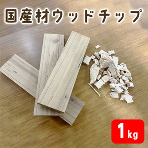 yӂ邳Ɣ[Łz Y Ebh`bvi AEghA  Lv BBQ [ j Lvpi AEghApi o[xL[ Ebh`bvƒ[ Zbg ΂ Ηp L