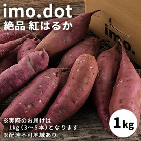 【ふるさと納税】 訳あり imo.dotの絶品 紅はるか お試し1kg[ いも 芋 さつまいも ] 母の日 おすすめ ギフト プレゼント お祝い　【 野菜 根菜 加西市産 クセがない 上品 しっとり 濃厚 サイズ混合 国産 日本産 焼きいも ふかし芋 】