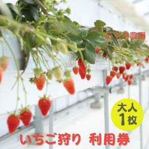 �y�ӂ邳�Ɣ[�Łz������_�� ��������� ���p�� ��l1���s2025�N12��10���`2026�N5��31�������p�\�t �̌� �`�P�b�g ���� �H�ו��� �t���[�c �ʕ�