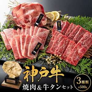 yӂ邳Ɣ[ŁzēZbg 3 o  ^ v500g _ˋ Ă  a ē Lv BBQ AEghA o[xL[ јa  Ⓚ  _˃r[t